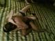 T3117438i-1103-203219.jpg by nickz@eskimo.com